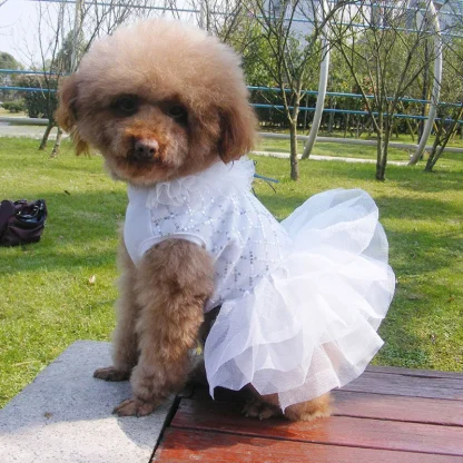 Cute Sequins Dress for Small Pets - Image 9