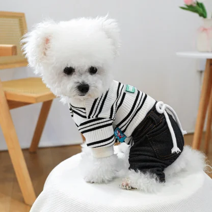 Striped Denim Clothes for Pet