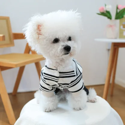 Striped Denim Clothes for Pet - Image 5