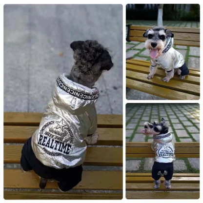 Metallic Pet Jumpsuit with Warm Hoodie - Image 7