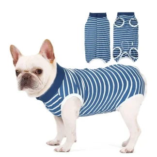 Striped Pattern Four Legs Clothes