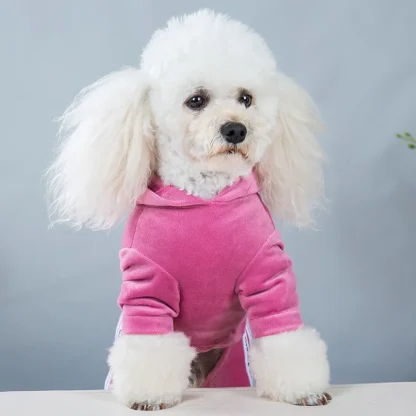 Luxury Pet Jumpsuit with Hoodie - Image 4