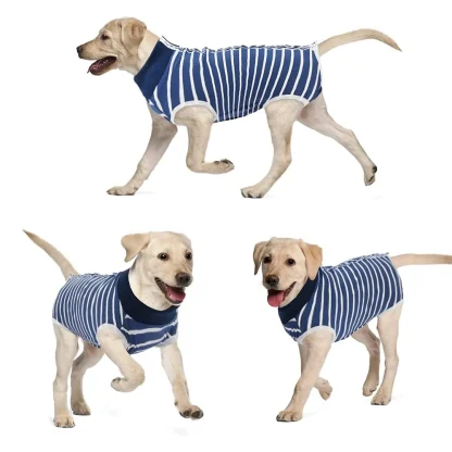 Striped Pattern Four Legs Clothes - Image 10