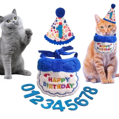 Happy Birthday Costume with Party Hat - Image 6